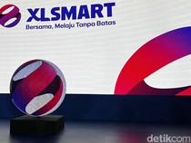 Eks Petinggi Indosat Ooredoo Jadi Direktur XLSmart