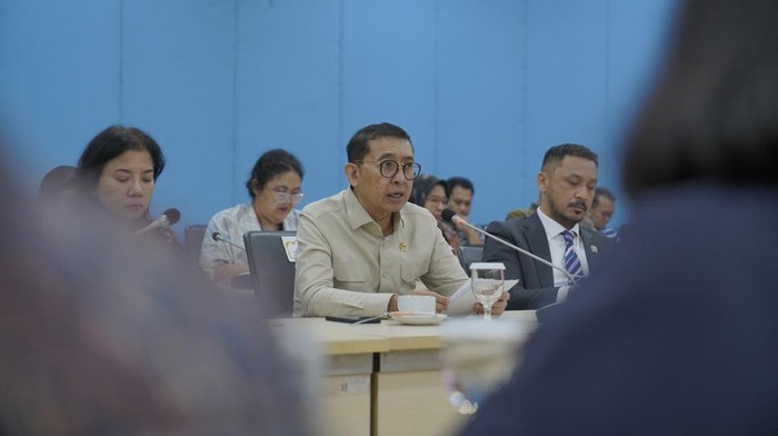 Menbud Fadli Zon