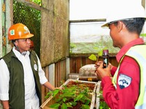 Menhut Cek PBPH Predikat Baik di Kalteng, yang Produktif tapi Jaga Alam