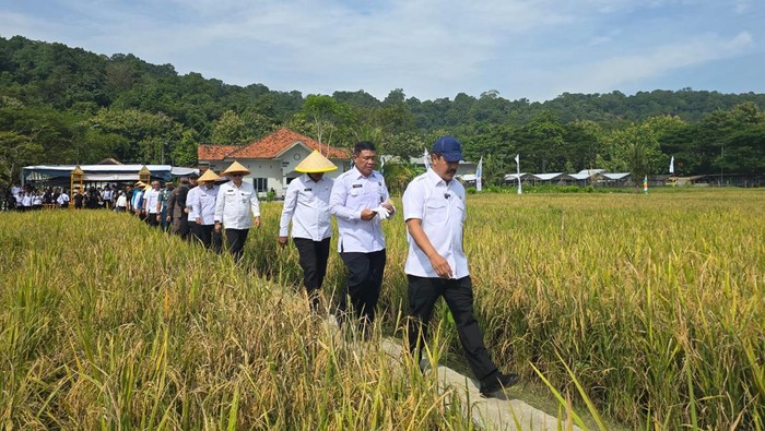 Menteri Imigrasi dan Permasyarakatan Agus Andrianto