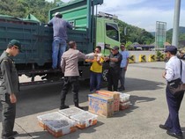 Pengiriman Burung Ilegal ke Bali Digagalkan di Pelabuhan Lembar Lombok Barat