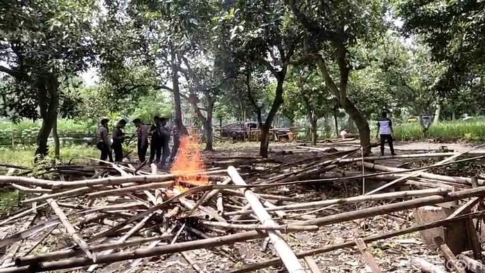 Polres Pasuruan Kota Sisir Lokasi Judi Sabung Ayam Pakai Drone, Satu Bangunan Dibakar