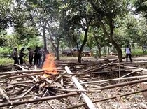 Video dari Udara: Penampakan Lokasi Judi Sabung Ayam di Pasuruan