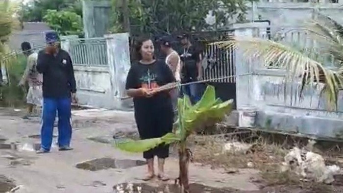 Warga Jalan Temanggung Tilung III Palangka Raya menanam pohon di tengah jalan yang setengah diaspal.