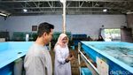 Potret Bupati Banyuwangi di Kampung Lobster