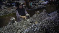 Pedagang menata ikan teri jualannya di Pasar Higienis Ternate, Maluku Utara, Jumat (18/4/2025).