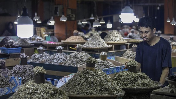 Cuaca Buruk, Harga Ikan Teri di Ternate Jadi Naik