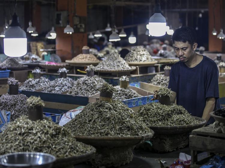 Cuaca Buruk, Harga Ikan Teri di Ternate Jadi Naik