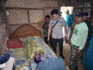Petani di Banyuwangi Tewas Tersambar Petir Saat Panen Jagung