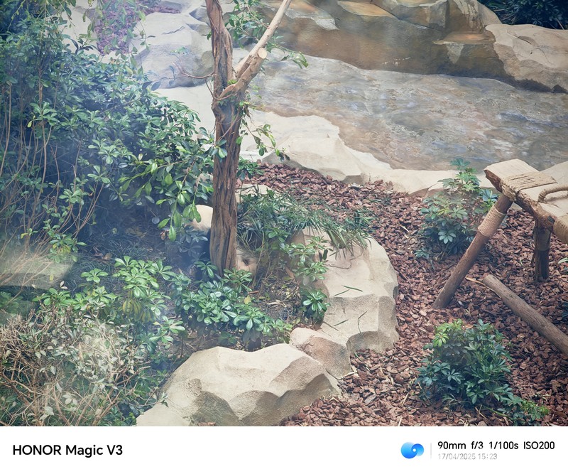 Konservasi Panda di Chendu, China