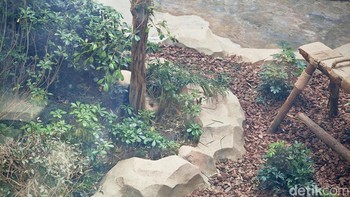 Tebak ada di mana Pandanya? Foto: Agus Tri Haryanto/detikINET