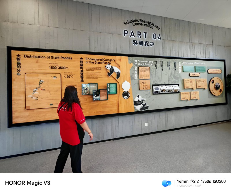 Konservasi Panda di Chendu, China