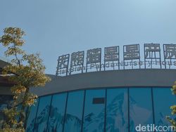 Gemas! Mengabadikan Panda Pakai Honor Magic V3