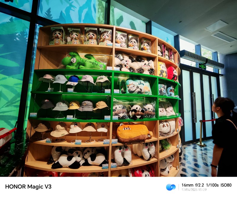 Konservasi Panda di Chendu, China