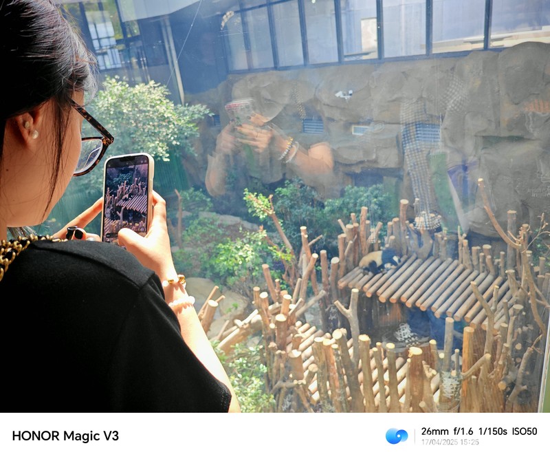 Konservasi Panda di Chengdu, China