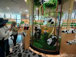 Gemas! Mengabadikan Panda Pakai Honor Magic V3