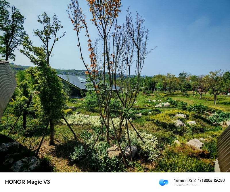 Konservasi Panda di Chengdu, China