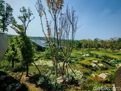 Gemas! Mengabadikan Panda Pakai Honor Magic V3