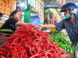 Harga Sembako Jogja Hari Ini 26 Januari 2026: Rawit Hijau Turun, Ayam Naik