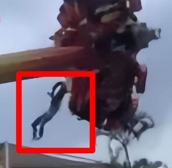 remaja terjatuh dari wahana permainan 360° pendulum jatim park 1 kota batu