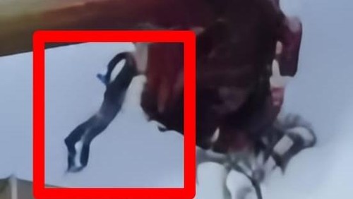 remaja terjatuh dari wahana permainan 360° pendulum jatim park 1 kota batu