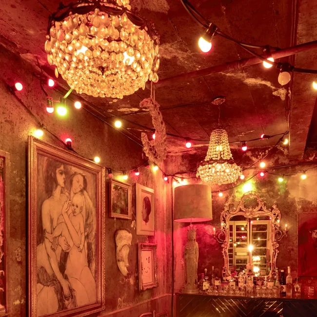 10 Foto Rumah Mewah Lenny Kravitz di Paris, Dilengkapi Klub Bawah Tanah