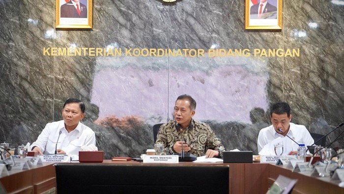 Wakil Menteri Koperasi (Wamenkop) Ferry Juliantono