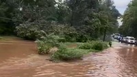 Arus lalu lintas pun sempat terhenti karena jendaraan harus menunggu air yang merendam surut. (Foto: Dok. Istimewa)