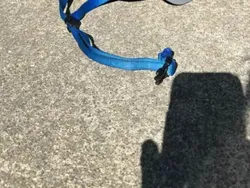 Awas Kena Tipu! Foto-foto Ini Mengecoh Mata,