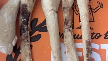 Ini dipastikan bukan tulang belulang... tapi kue stick keju.  Foto: Reddit