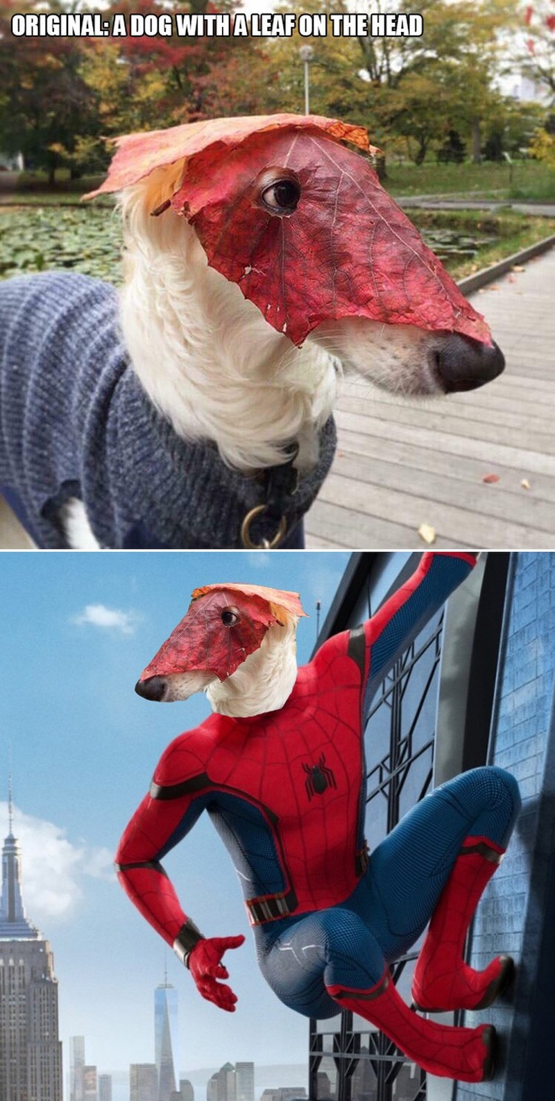 ketika Foto Ini Diedit dari Pakar Photoshop, Keren Tapi Bikin Ngakak