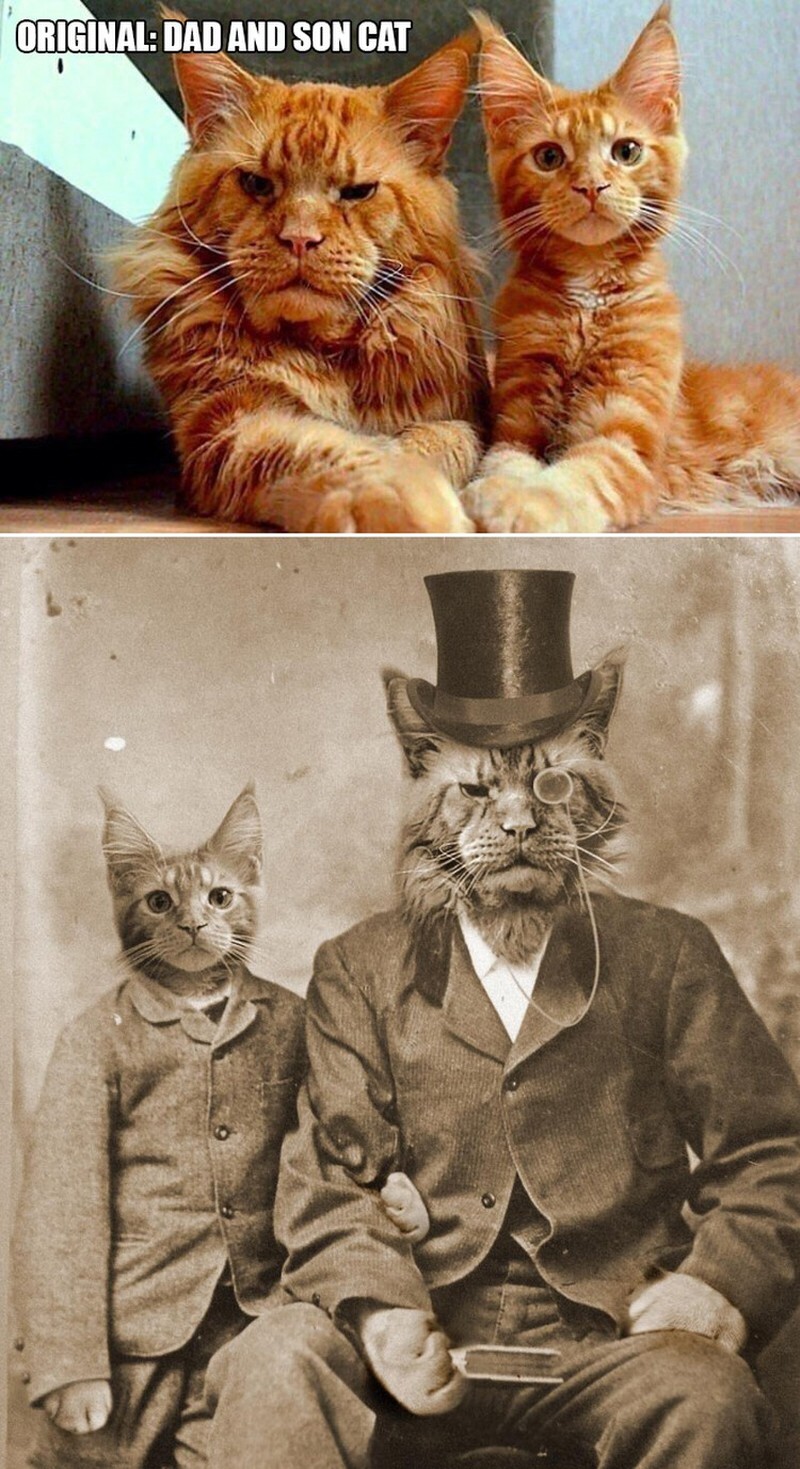 ketika Foto Ini Diedit dari Pakar Photoshop, Keren Tapi Bikin Ngakak