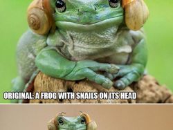 Ketika Foto Ini Diedit dari Pakar Photoshop, Keren Tapi Bikin Ngakak