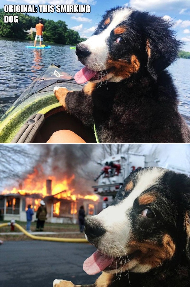 ketika Foto Ini Diedit dari Pakar Photoshop, Keren Tapi Bikin Ngakak