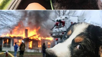 Jadi meme. Foto: dok Reddit via Brightside  