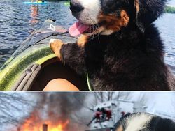 Ketika Foto Ini Diedit dari Pakar Photoshop, Keren Tapi Bikin Ngakak