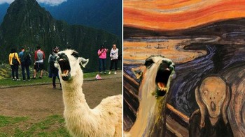 MAsuk dalam lukisan ikonik. Foto: dok Reddit via Brightside  