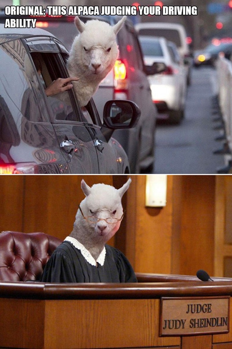 ketika Foto Ini Diedit dari Pakar Photoshop, Keren Tapi Bikin Ngakak