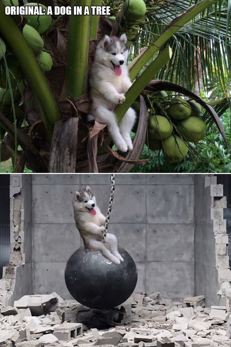 ketika Foto Ini Diedit dari Pakar Photoshop, Keren Tapi Bikin Ngakak