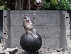 Ketika Foto Ini Diedit dari Pakar Photoshop, Keren Tapi Bikin Ngakak