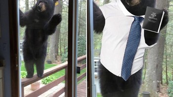 Jadi petugas imigrasi. Foto: dok Reddit via Brightside  