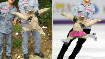 Ikutan lomba ice skating. Foto: dok Reddit via Brightside  