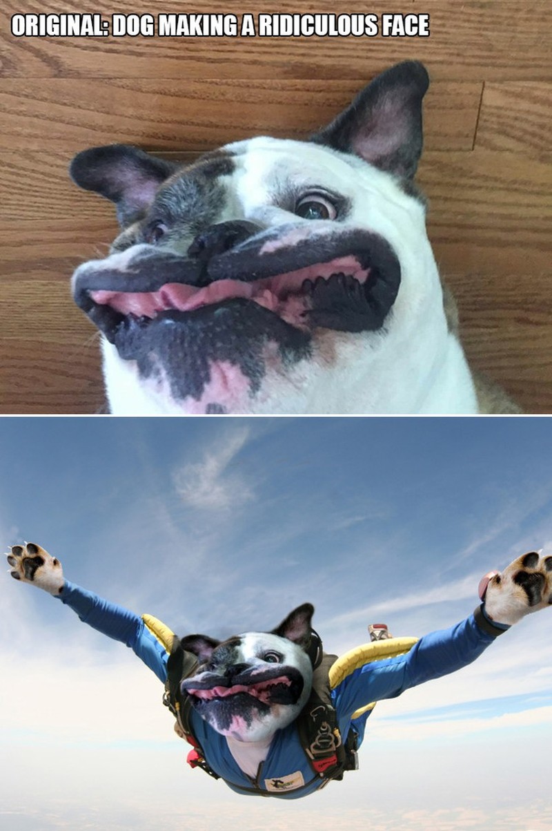 ketika Foto Ini Diedit dari Pakar Photoshop, Keren Tapi Bikin Ngakak