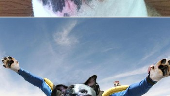 Terjun payung. Foto: dok Reddit via Brightside  