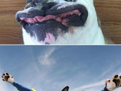 Ketika Foto Ini Diedit dari Pakar Photoshop, Keren Tapi Bikin Ngakak