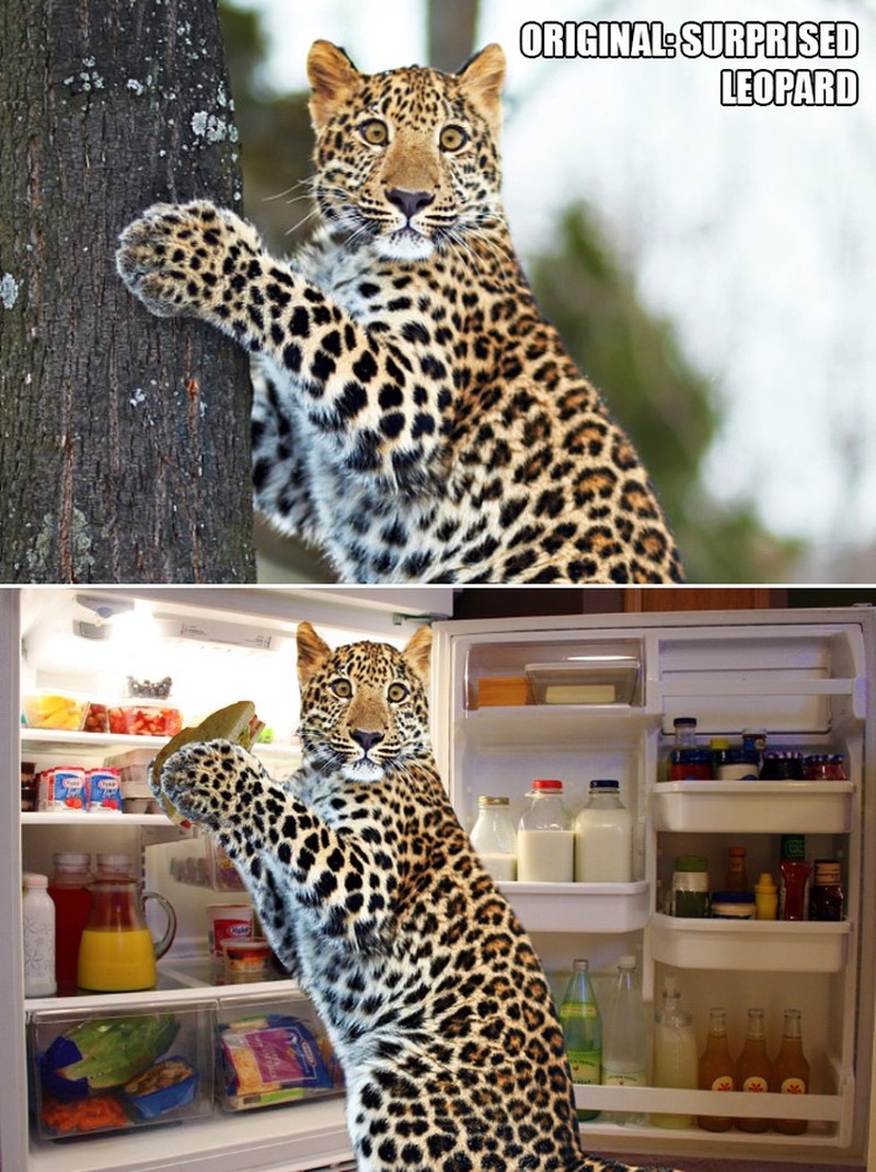 ketika Foto Ini Diedit dari Pakar Photoshop, Keren Tapi Bikin Ngakak