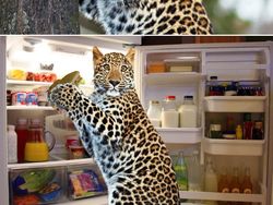 Ketika Foto Ini Diedit dari Pakar Photoshop, Keren Tapi Bikin Ngakak