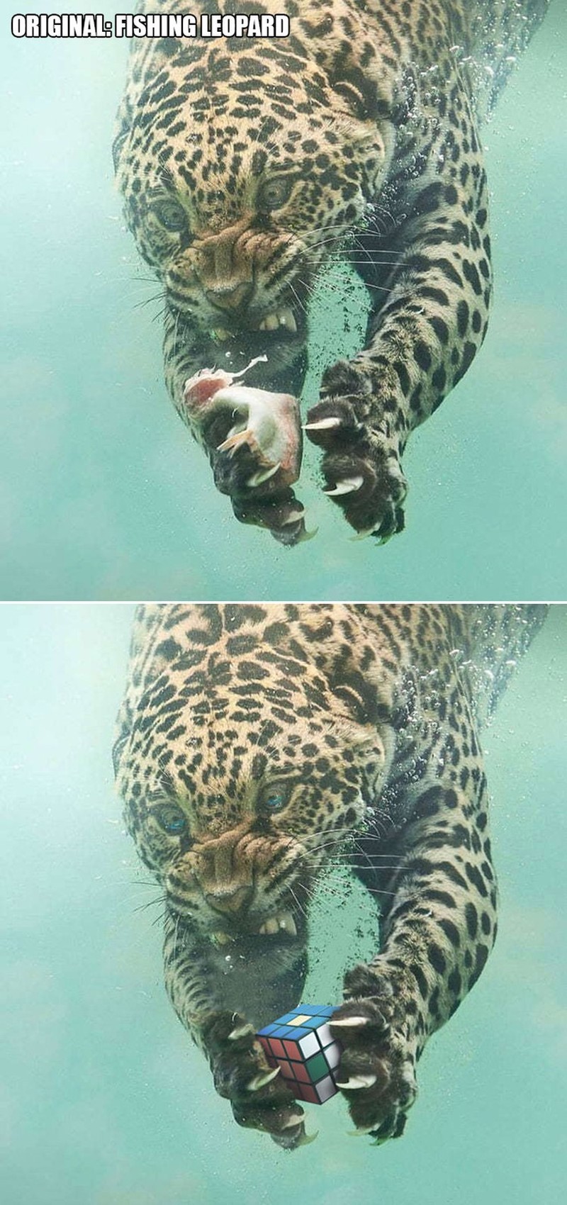 ketika Foto Ini Diedit dari Pakar Photoshop, Keren Tapi Bikin Ngakak