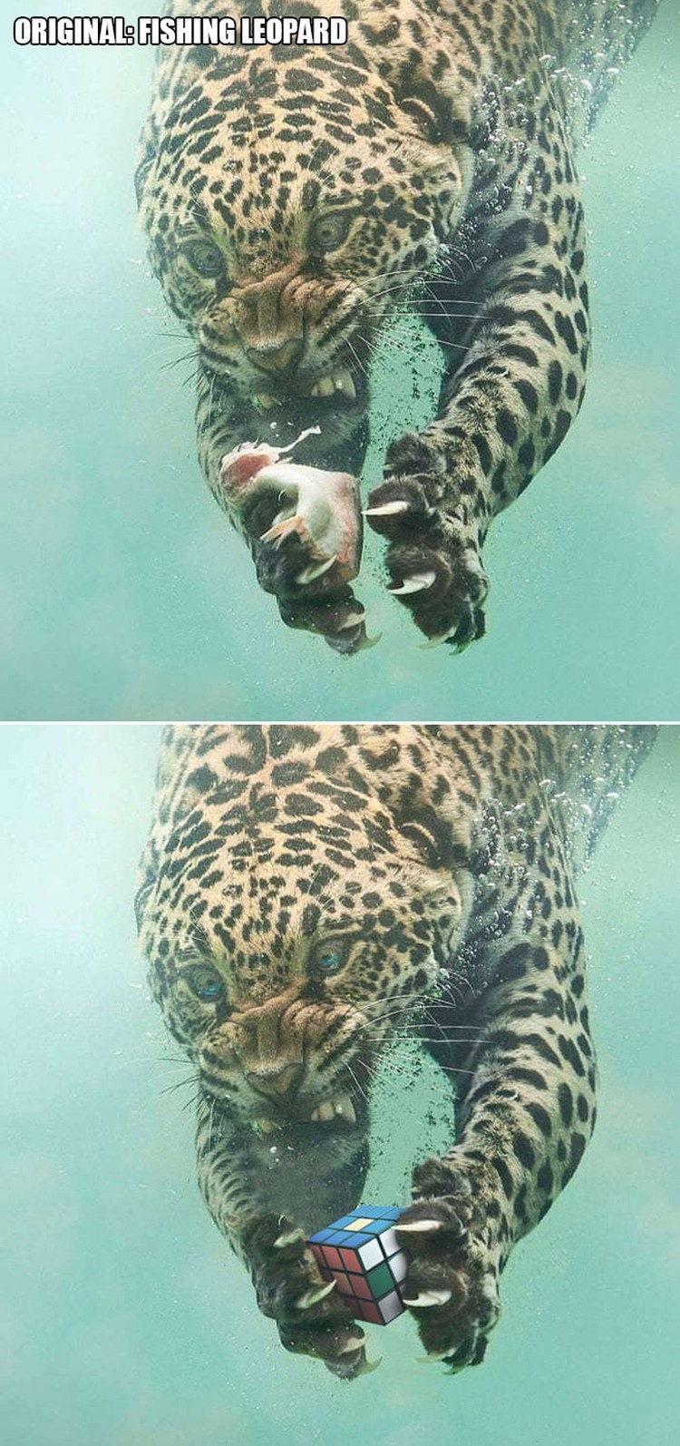 ketika Foto Ini Diedit dari Pakar Photoshop, Keren Tapi Bikin Ngakak ketika Foto Ini Diedit dari Pakar Photoshop, Keren Tapi Bikin Ngakak