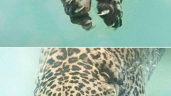 Gemes, dibikin jadi main rubik. Foto: dok Reddit via Brightside  